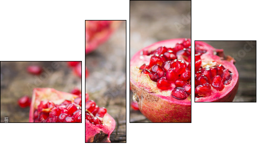Pomegranate  - Obraz czteroczęściowy, Fortyk