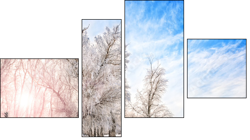 Winter time with river, trees and bright sun on a side  - Obraz czteroczęściowy, Fortyk
