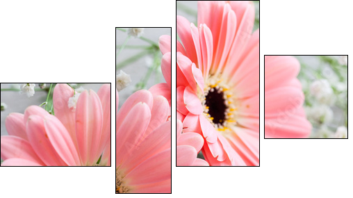 Gerbera mit Herzen  - Obraz czteroczęściowy, Fortyk