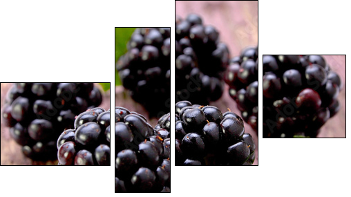 Balckberry fruit closeup  - Obraz czteroczęściowy, Fortyk