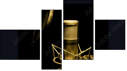 golden microphone isolated on black background  - Obraz czteroczęściowy, Fortyk
