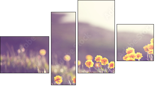 Sunny meadow  - Obraz czteroczęściowy, Fortyk