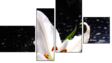 Macro of white lily with therapy stones  - Obraz czteroczęściowy, Fortyk