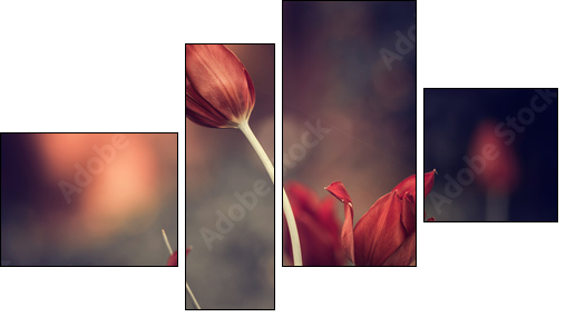 red garden tulips  - Obraz czteroczęściowy, Fortyk