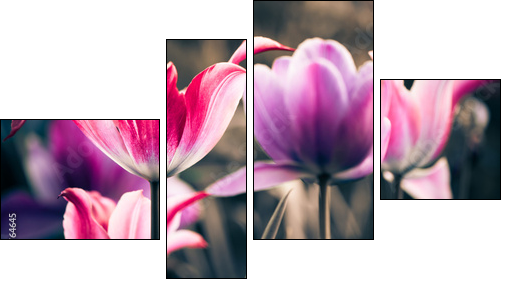 fresh spring garden flowers  - Obraz czteroczęściowy, Fortyk
