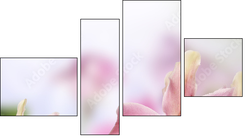 Lily.Flower card  - Obraz czteroczęściowy, Fortyk