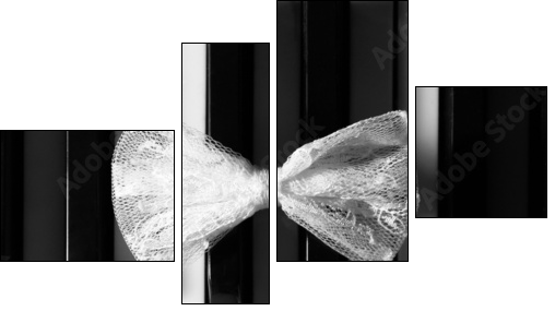 butterfly  - Obraz czteroczęściowy, Fortyk