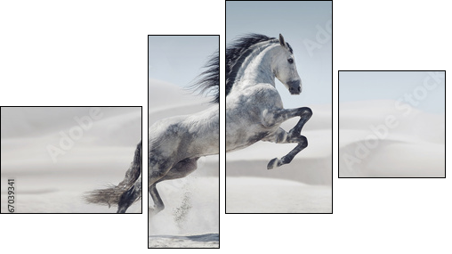 Picture presenting the galloping white horse  - Obraz czteroczęściowy, Fortyk