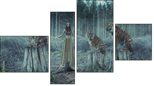 Attractive female trainer with the tigers  - Obraz czteroczęściowy, Fortyk