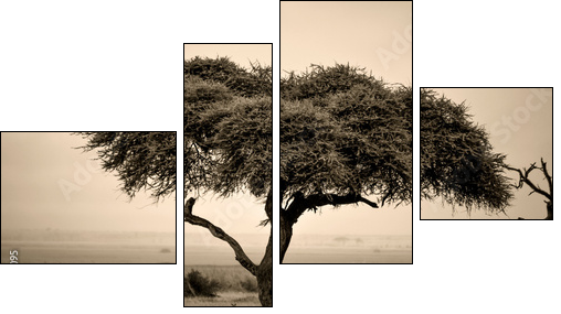 Lone acacia tree with gazelles in sepia  - Obraz czteroczęściowy, Fortyk
