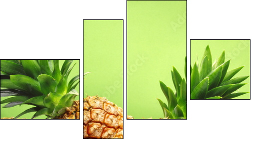 tropical pineapples  - Obraz czteroczęściowy, Fortyk
