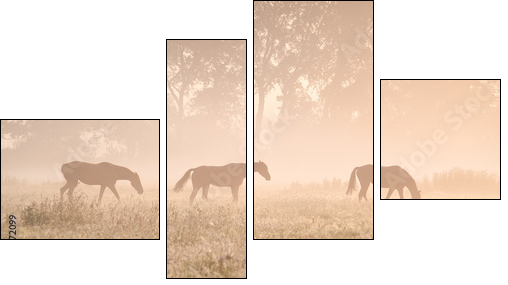 horses in sunshine and fog  - Obraz czteroczęściowy, Fortyk