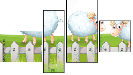 Three sheeps  - Obraz czteroczęściowy, Fortyk