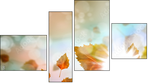 Autumn leaves  - Obraz czteroczęściowy, Fortyk