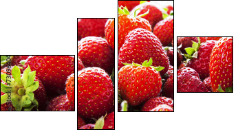 Strawberry panorama.  - Obraz czteroczęściowy, Fortyk