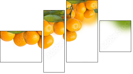 tangerine trees  - Obraz czteroczęściowy, Fortyk