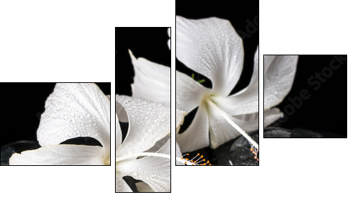 Beautiful cryogenic spa concept of delicate white hibiscus, zen  - Obraz czteroczęściowy, Fortyk