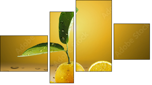 Laranja Molhada  - Obraz czteroczęściowy, Fortyk