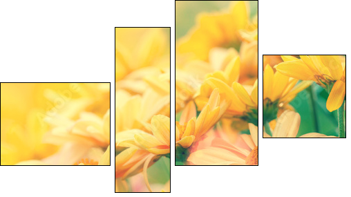Vintage flower lawn for background  - Obraz czteroczęściowy, Fortyk