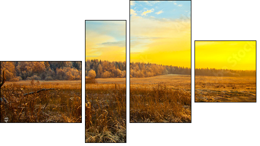 Field, forest, dry grass - beautiful landscape at sunset  - Obraz czteroczęściowy, Fortyk