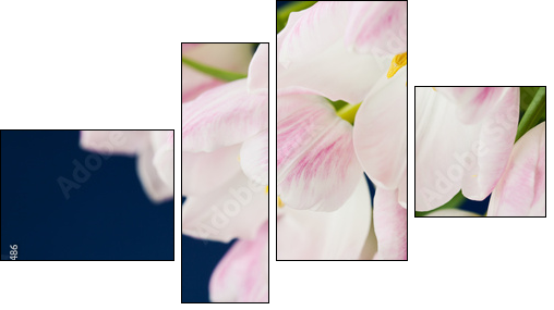 Pink tulips in vase on dark blue background  - Obraz czteroczęściowy, Fortyk