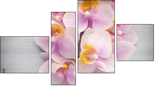 Orchid.  - Obraz czteroczęściowy, Fortyk