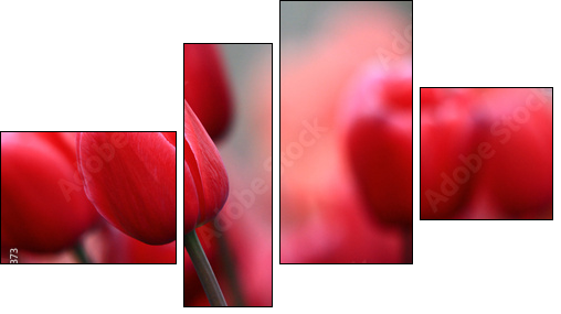 Pink tulips  - Obraz czteroczęściowy, Fortyk