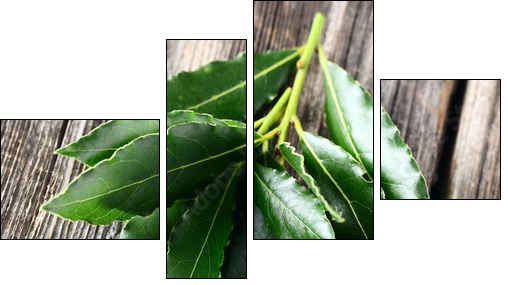 Laurel leaves on a wooden background  - Obraz czteroczęściowy, Fortyk