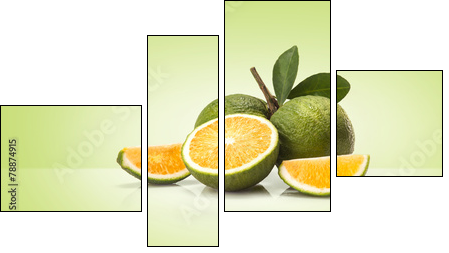Green sweet oranges fruit  - Obraz czteroczęściowy, Fortyk