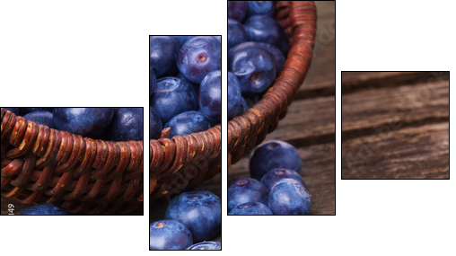 Heidelbeeren, Blaubeeren  - Obraz czteroczęściowy, Fortyk