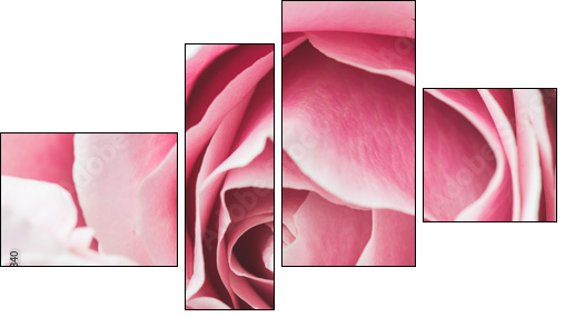 Na górze różowe róże
 - Obraz czteroczęściowy, Fortyk