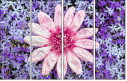 100402580