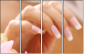 12285447