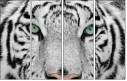 13468757