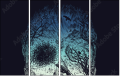 164648563