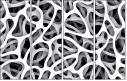 20505205