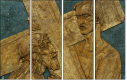 20884913