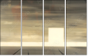 21155951