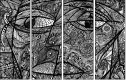 229082617