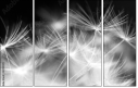 23180311