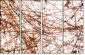 23639472