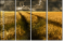 27477176