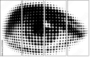 29211462