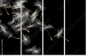 30521892