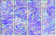 322036306