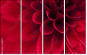 33891278