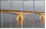 36477727