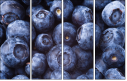 38114663