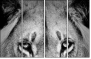 39012933