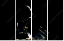 39076557